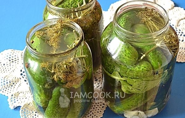 Огурцы на зиму &laquo;Проще простого&raquo;