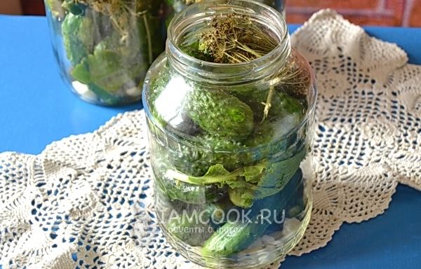 Огурцы на зиму &laquo;Проще простого&raquo;